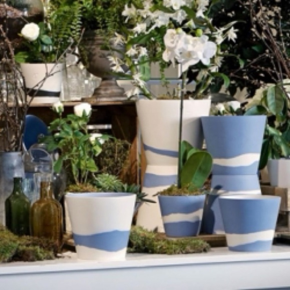 NWT Wedgwood Butlington 5” Pot